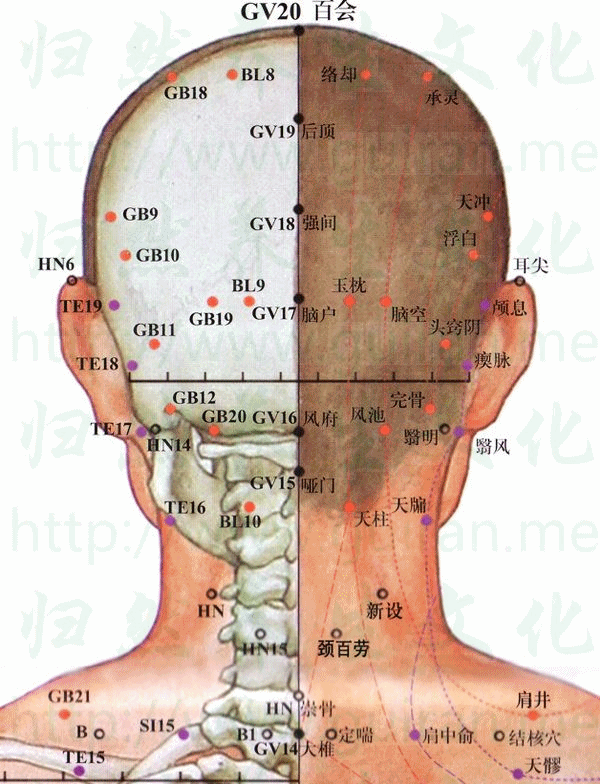 天冲穴的准确穴位图