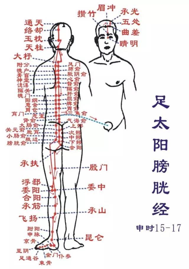 足太阳膀胱经