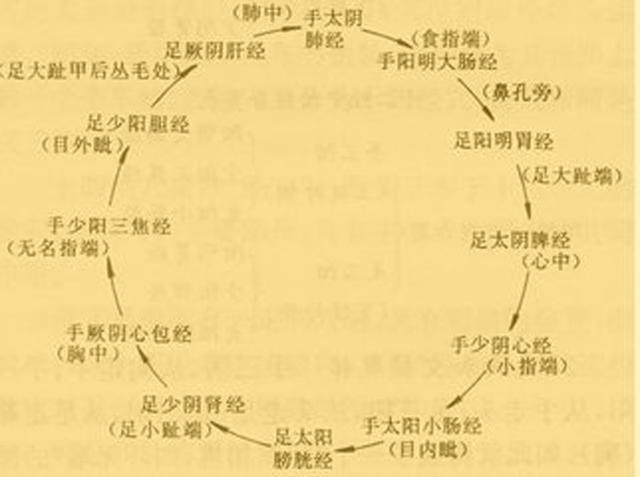 十二经脉的流注次序规律