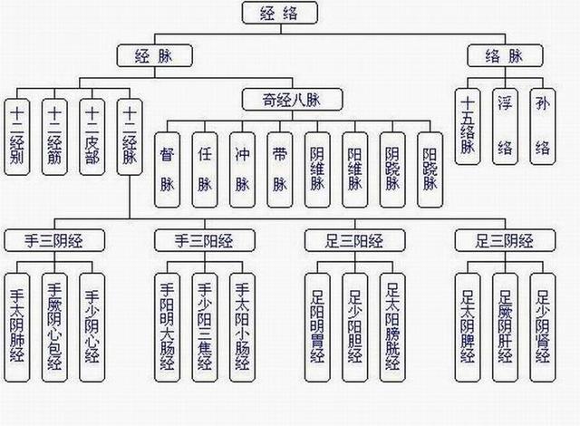 十二经脉的分布规律