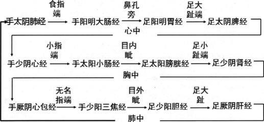 十二经脉的流注次序规律