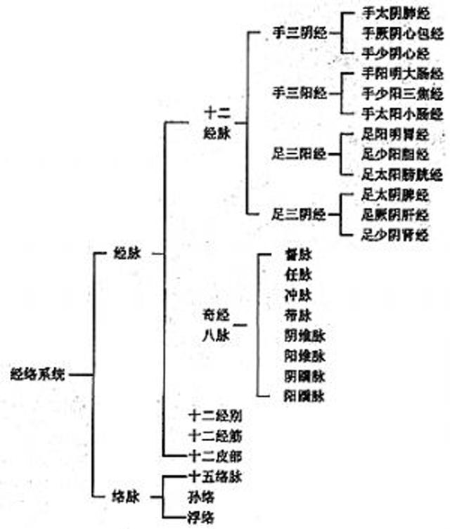 十二经脉走向规律