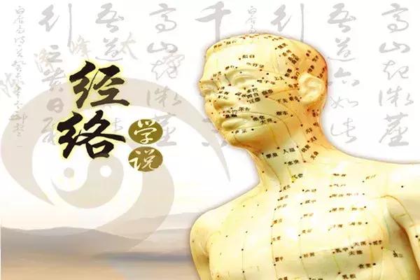 人体十二经络