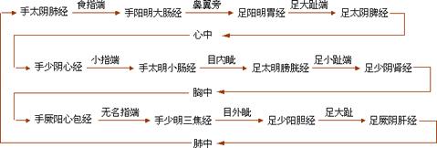 教你记住十二条经络