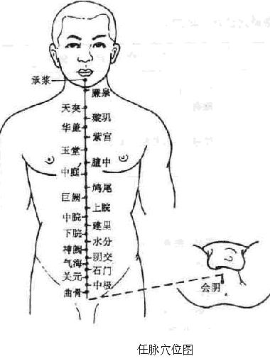 任脉的循行