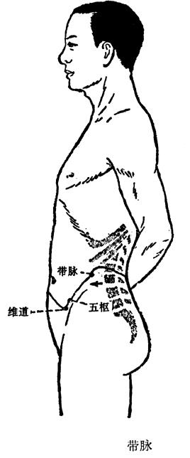 带脉的循行