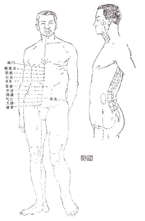 冲脉的循行