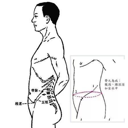 带脉的循行图