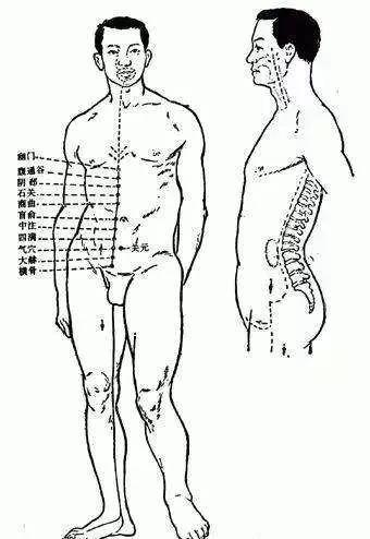 冲脉的循行图