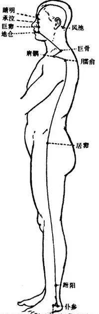 阳跷脉的循行图