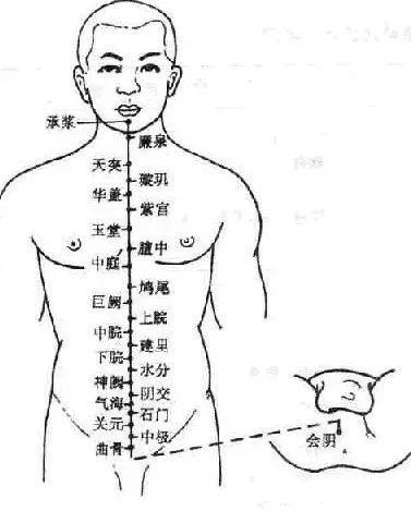 任脉的循行图