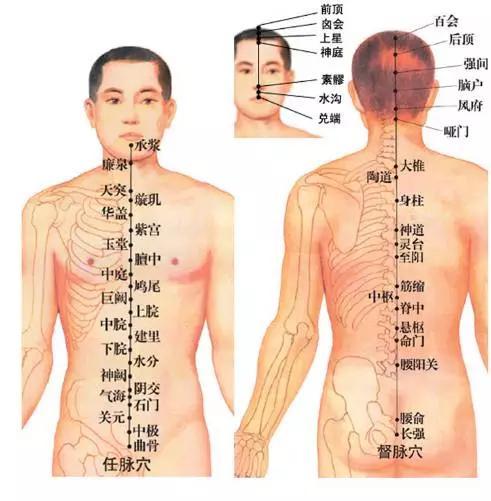奇经八脉的特点
