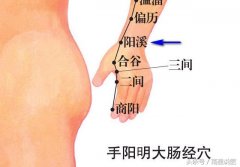 经络穴位查询大全