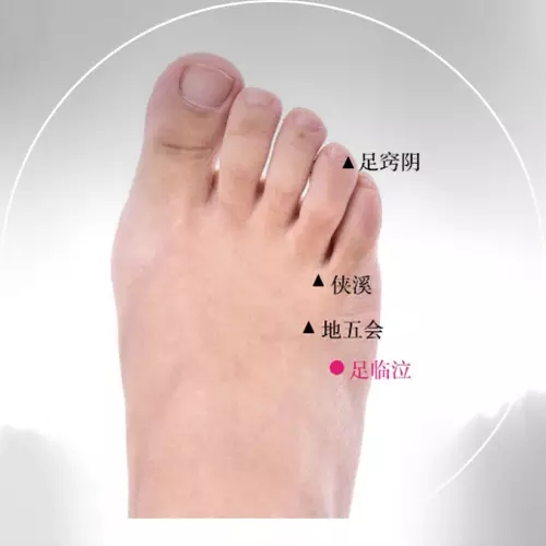 足临泣穴的准确穴位图及作用