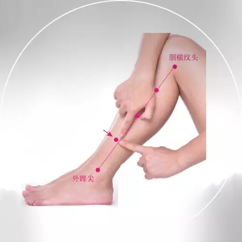 阳辅穴的准确穴位图