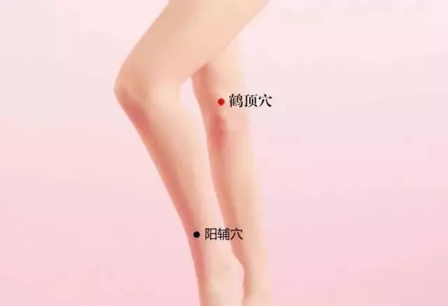 阳辅穴的作用