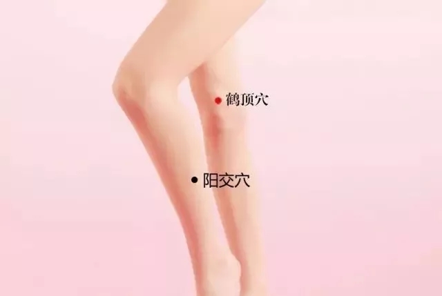 阳交穴的准确穴位图