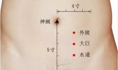 外陵穴的准确穴位图及作用