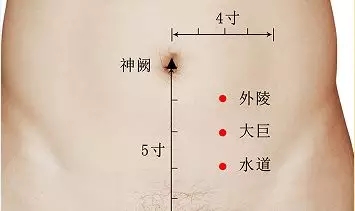 外陵穴的准确穴位图及作用