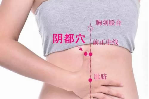阴都穴的准确穴位图及作用