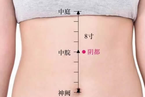 阴都穴的准确穴位图