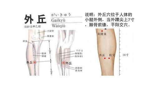 外丘穴的准确穴位图及作用