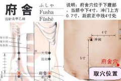府舍穴的准确穴位图及作用