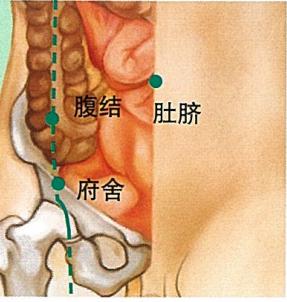 府舍穴的准确穴位图