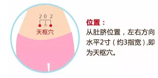 天枢穴的准确穴位图