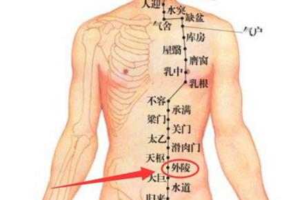 外陵穴位的作用