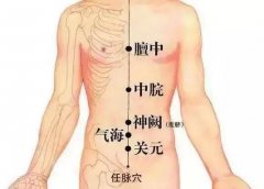 腹部穴位图