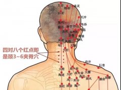 肩部穴位图