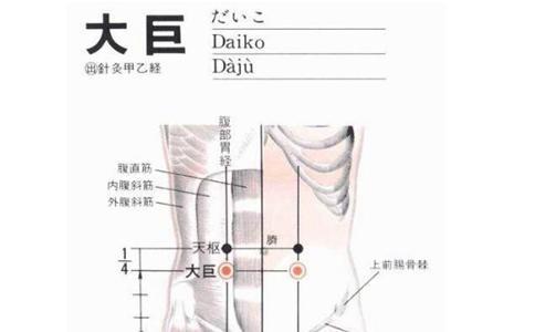大巨穴的作用
