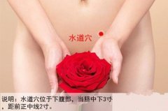 水道穴的准确穴位图及功效作用