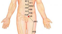 气冲穴的准确穴位图及作用