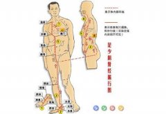 足少阴肾经的功效和作用