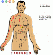 手太阴肺经的功效和作用