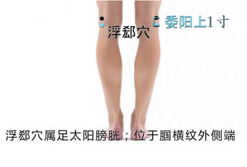 浮郄穴的作用