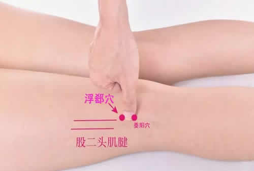 浮郄穴的准确穴位图及作用