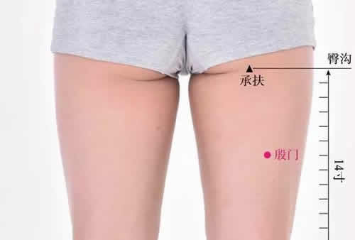 殷门穴的作用