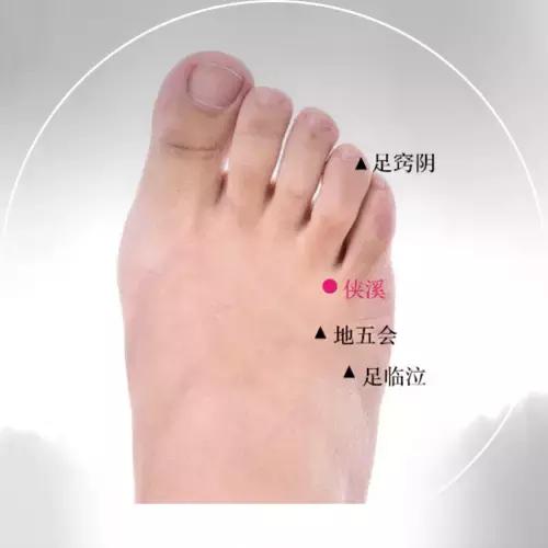 侠溪穴的准确穴位图及作用