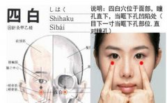 四白穴的准确穴位图及作用