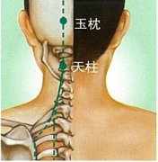 天柱穴的准确穴位图及作用