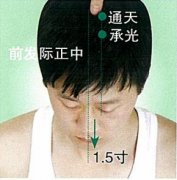 通天穴的准确穴位图及作用
