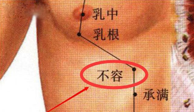 不容穴的准确穴位图