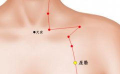 屋翳穴的准确穴位图及作用