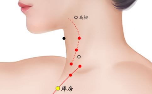 库房穴的准确穴位图