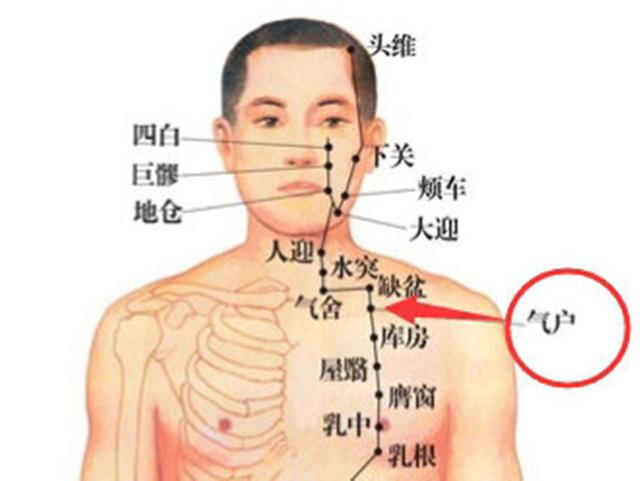 气户穴的准确穴位图