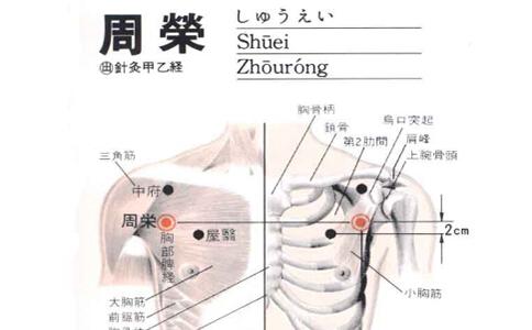 周荣穴的准确穴位图及功效作用