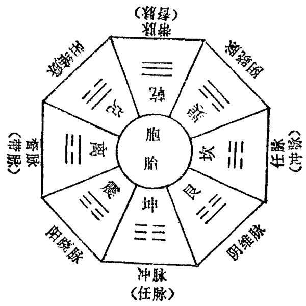 奇经八脉图